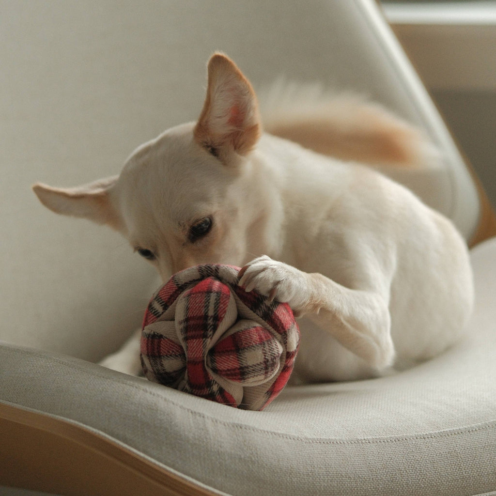 FLANNEL MONTI // ENRICHMENT DOG TOY // HOLIDAY