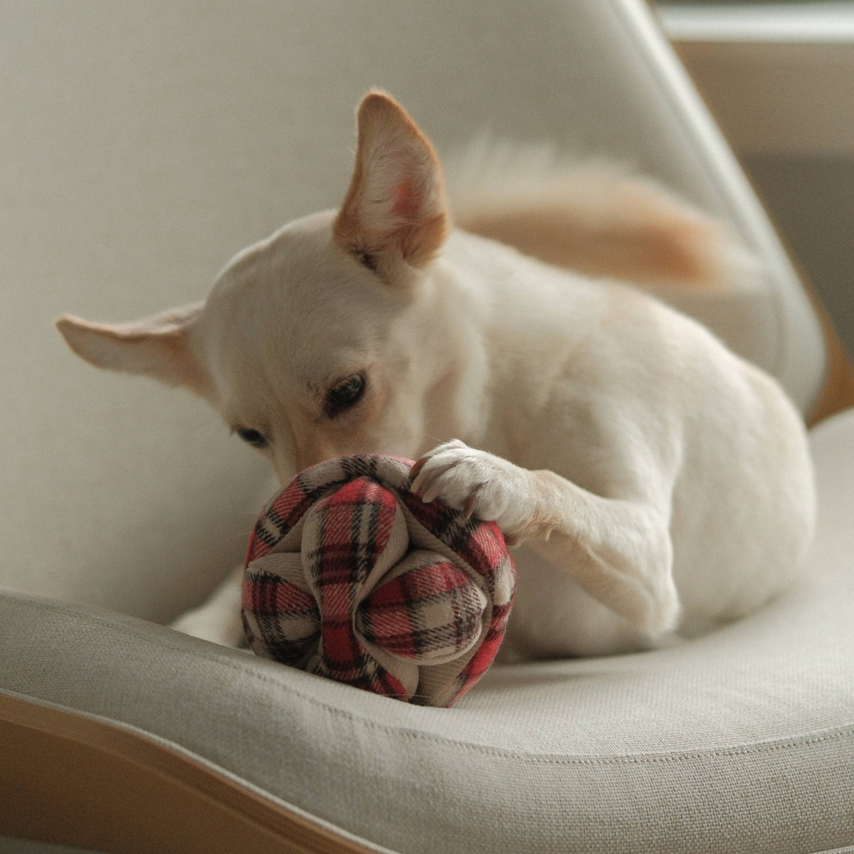 FLANNEL MONTI // ENRICHMENT DOG TOY // HOLIDAY