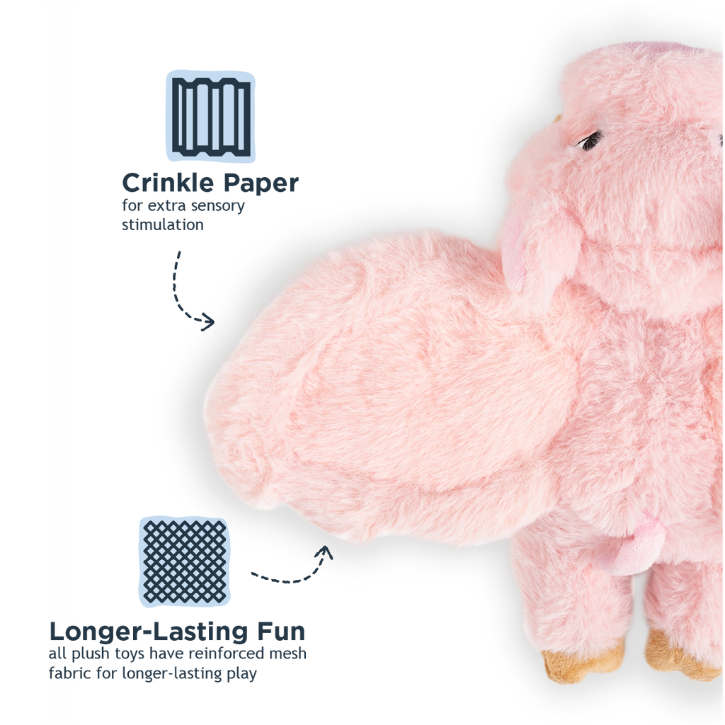 Pig Fling and Fetch Toy for Dogs
