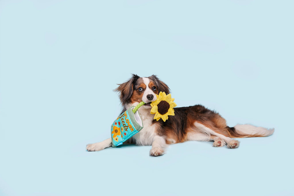 BARK Funflower Seeds Rope Dog Toy