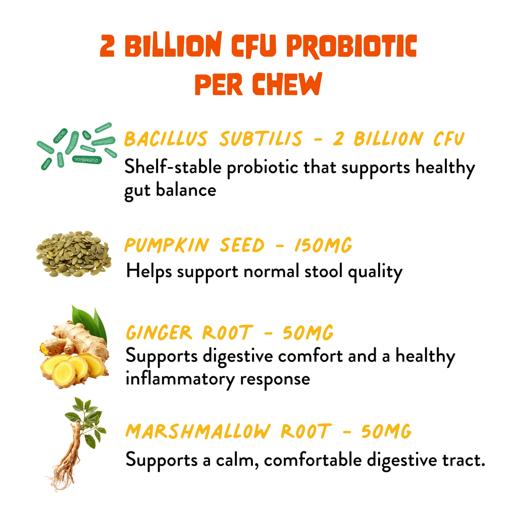 Probiotic+ Soft Chews for Dogs - Digestive Support, Gut Health: 30 Chews