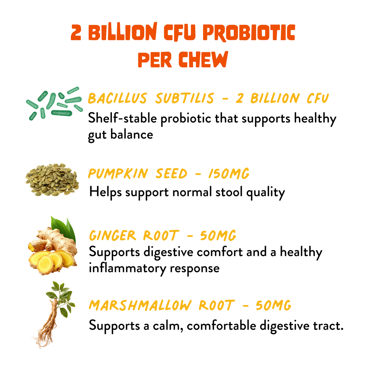 Probiotic+ Soft Chews for Dogs - Digestive Support, Gut Health: 30 Chews