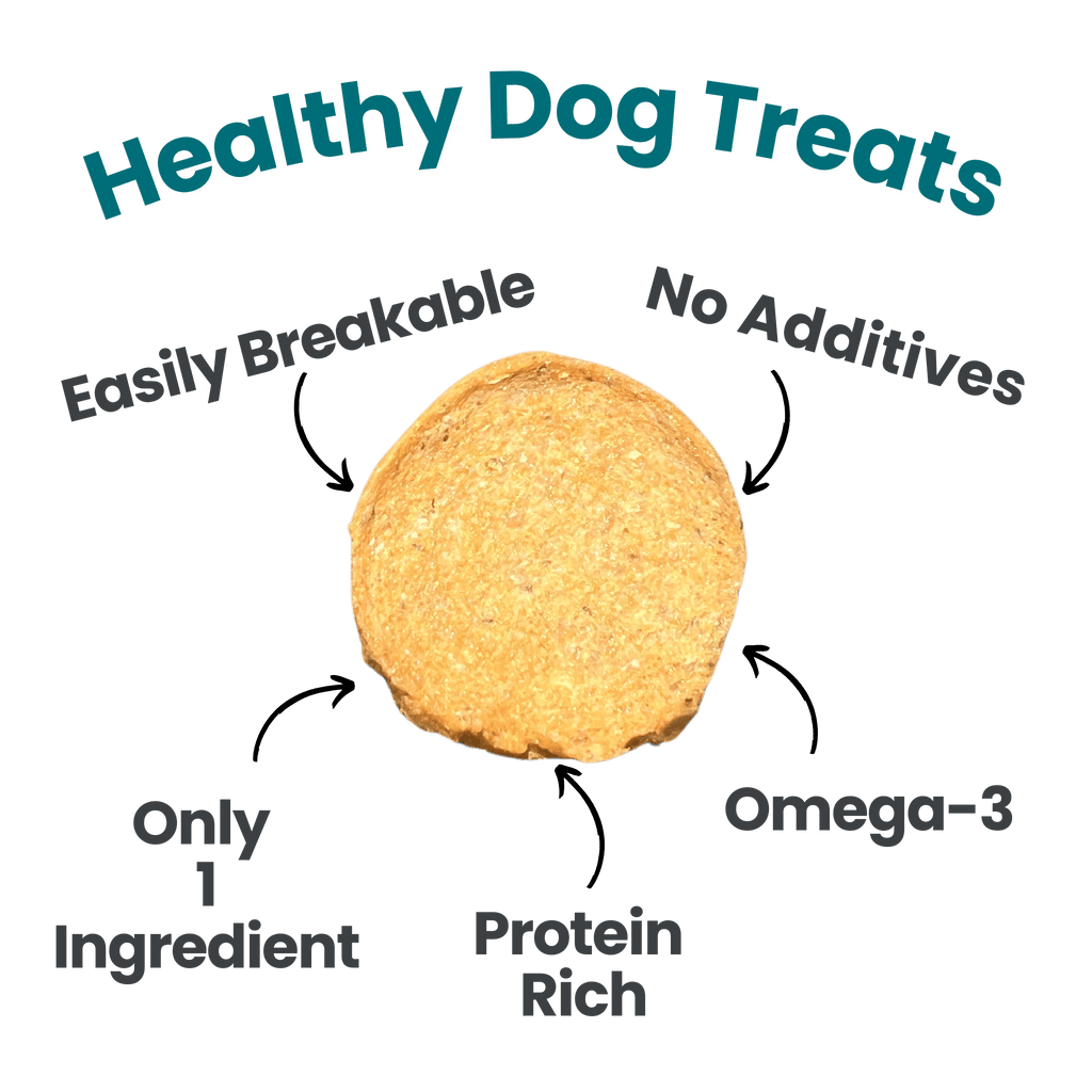 Fish Chips Dog Treats: 12oz