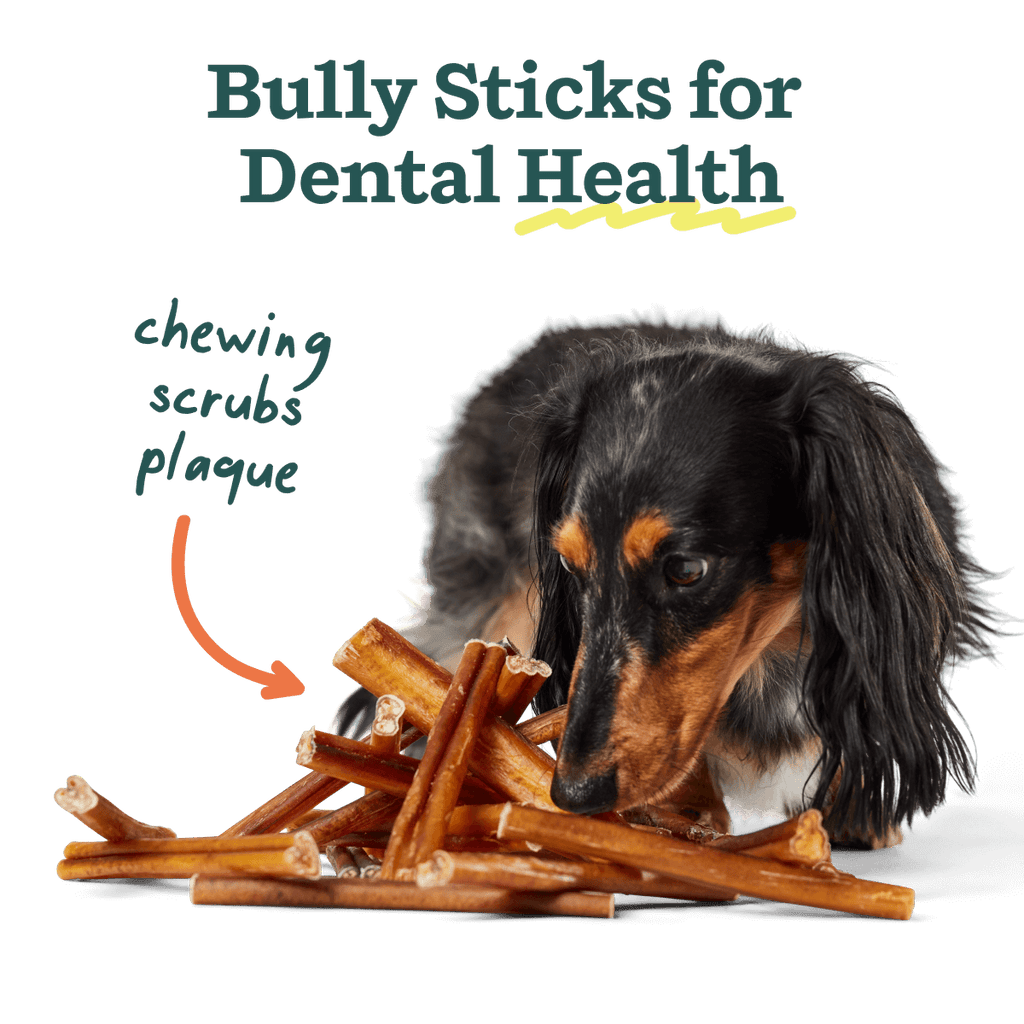 BullySafe Chews - BullySticks: Beef / 6-inch 5 pack