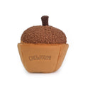 Acorn Snuffle & Squeaky Toy