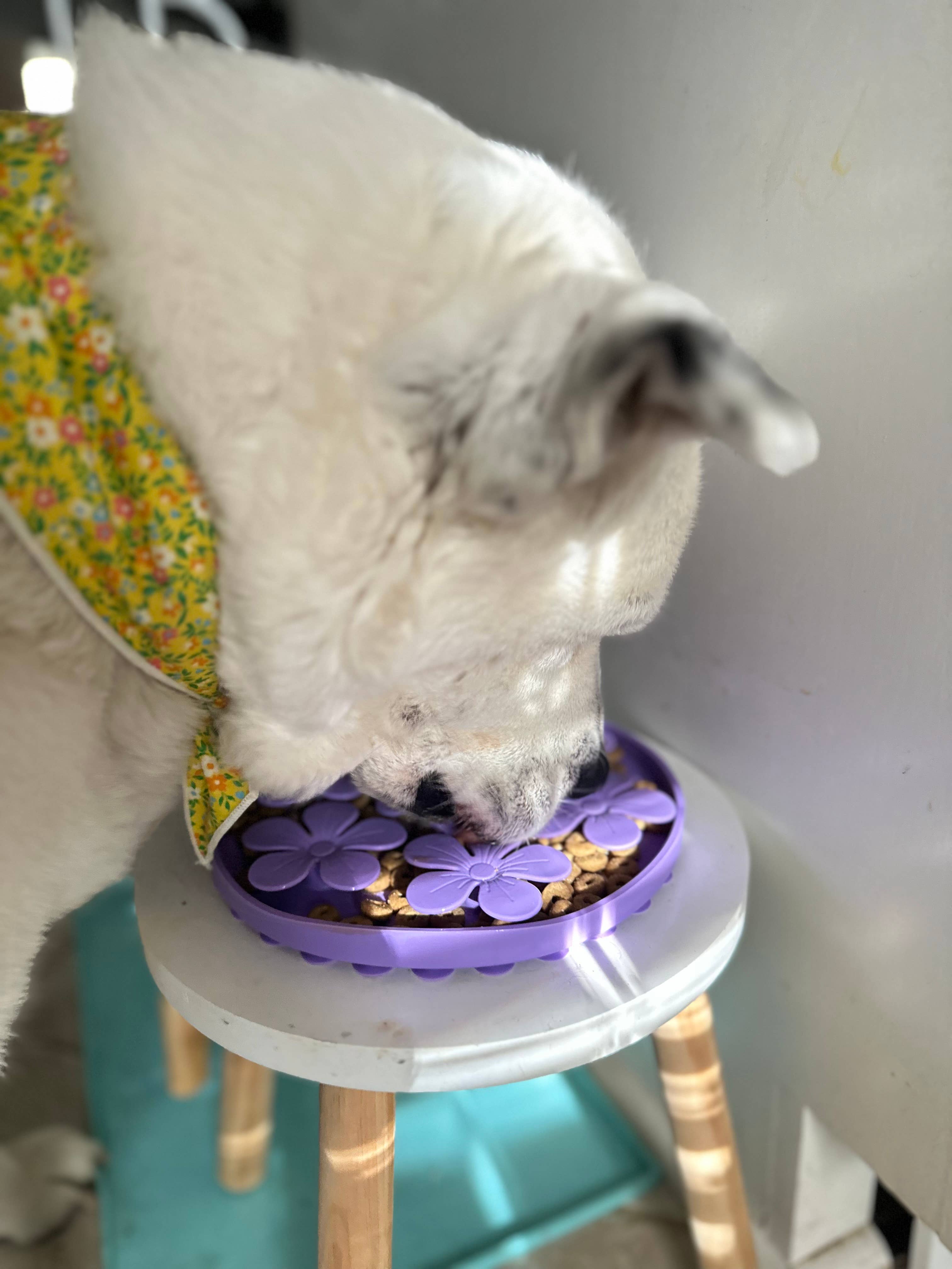 Lick Pad - Slow Feeder Duos