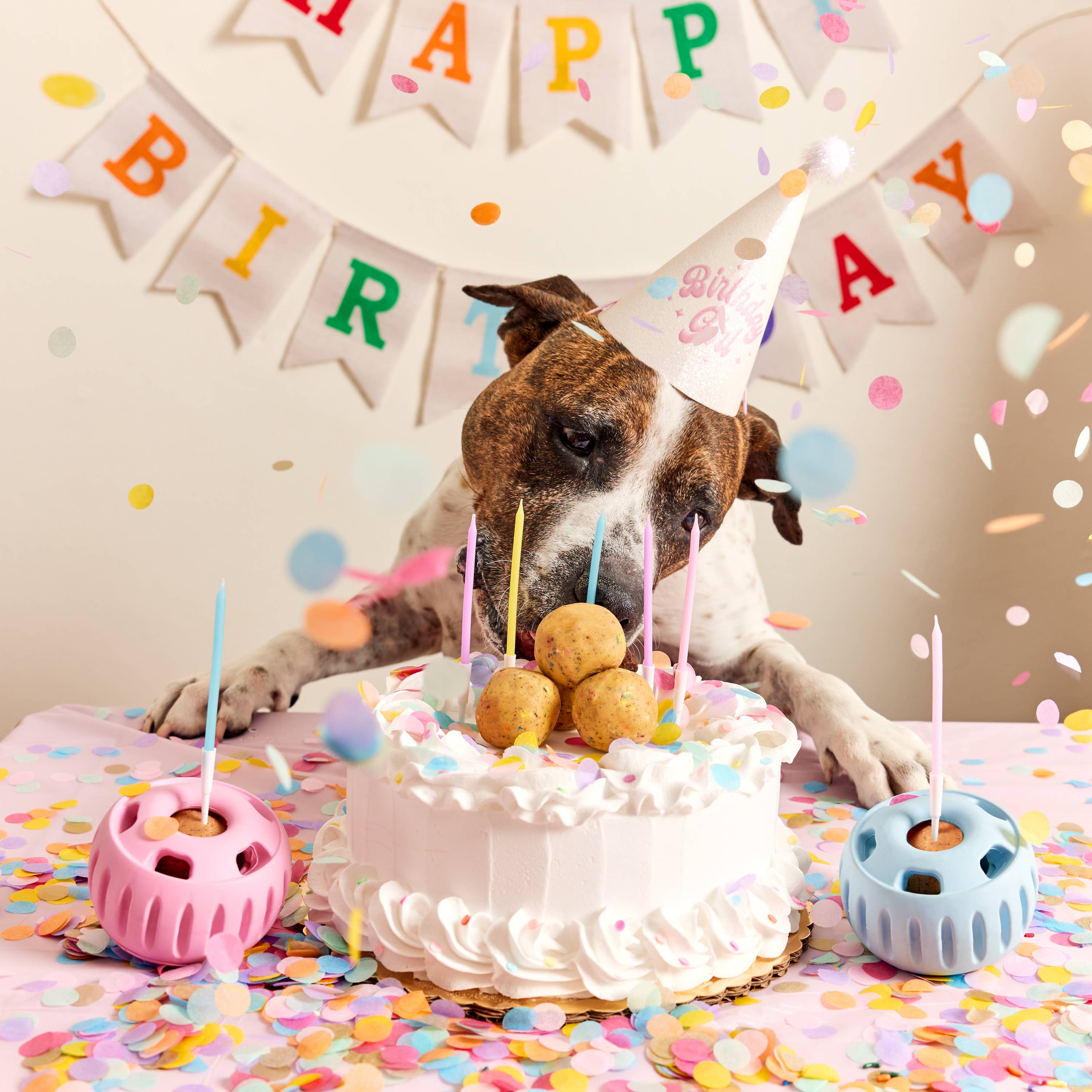 Party Pupsicle: Blue / Large
