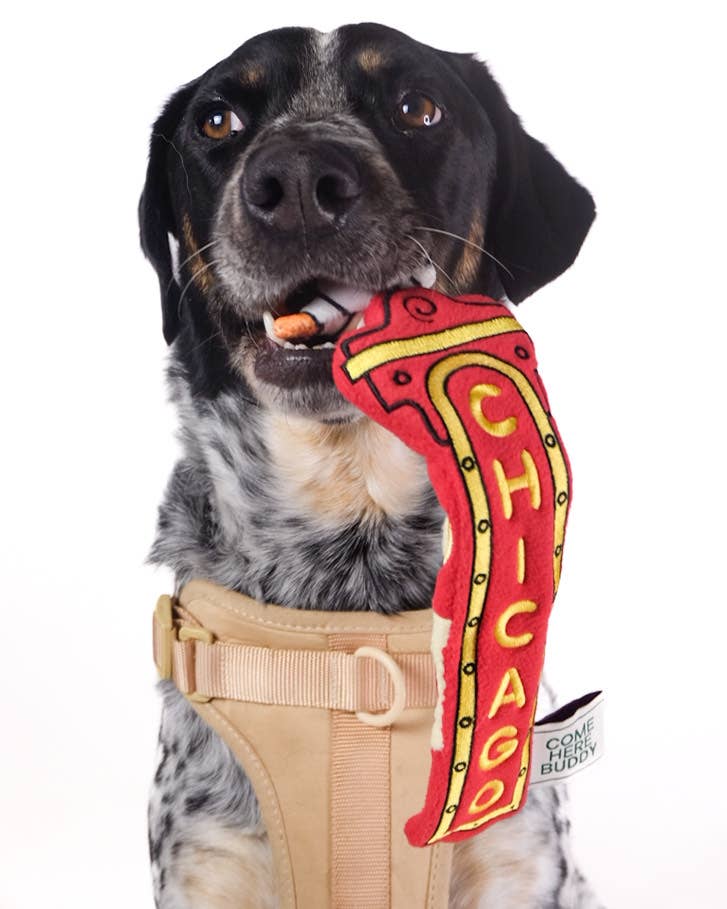 Chicago Marquee Nose Work Dog Toy