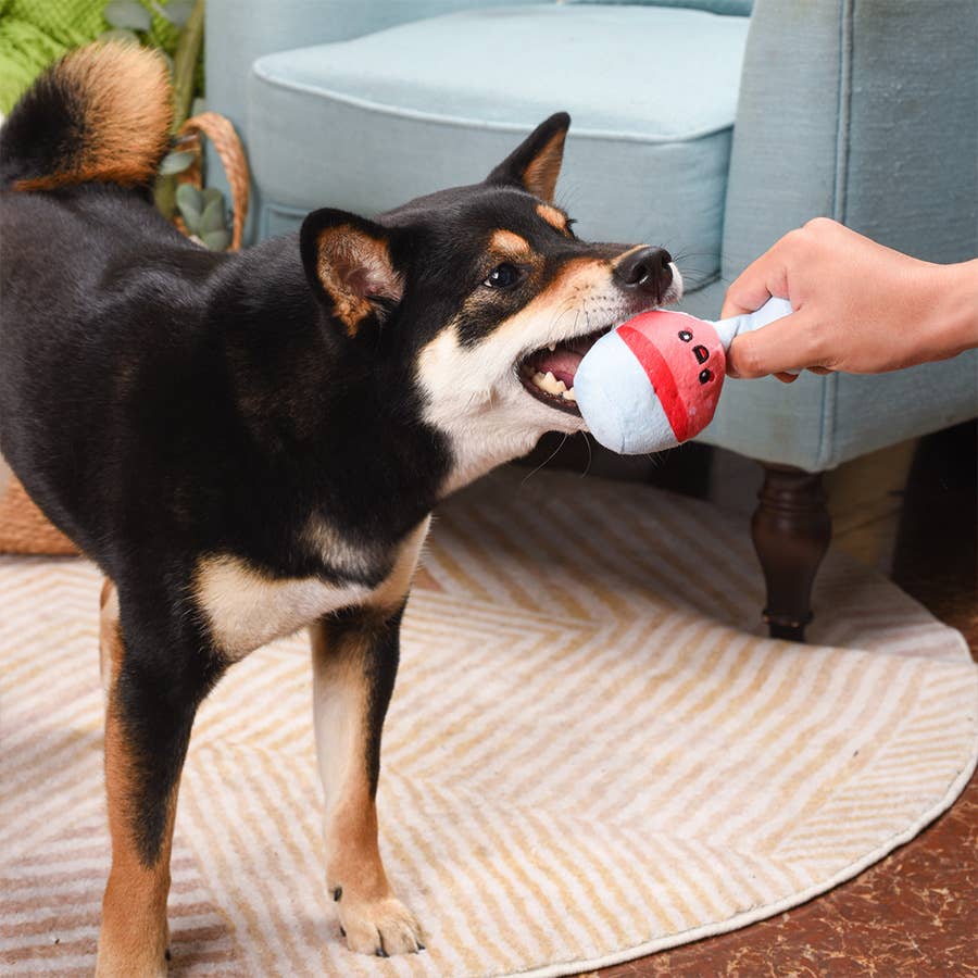 HugSmart Pet - Picnic Time | Backyard Picnic -  Plush Toy