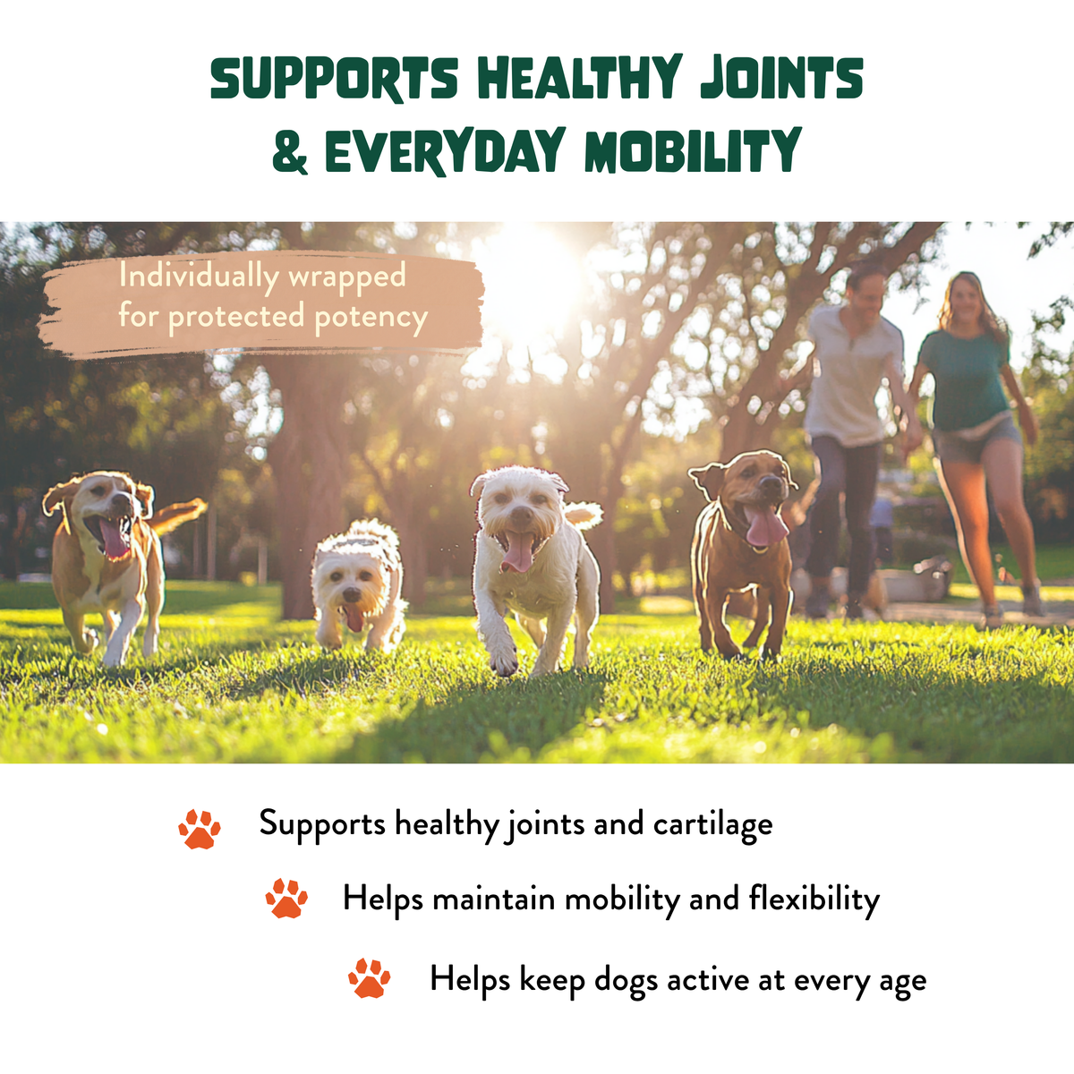 Hip & Joint Soft Chews for Dogs - Glucosamine, MSM, Chondroitin: 30 Chews