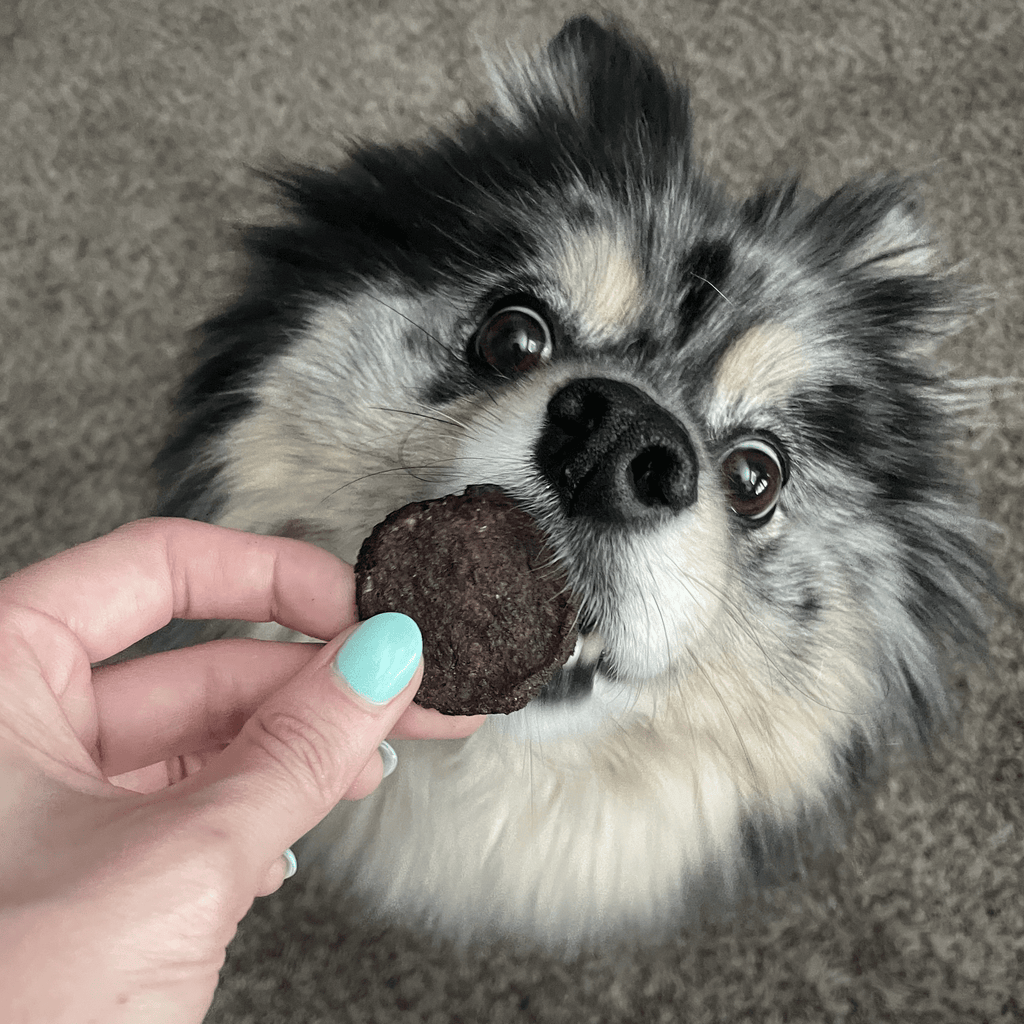 Beef Chips Dog Treats: 12oz