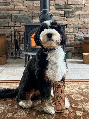 Tall Tails Natural Leather & Wool Love My Dog Log - 9"