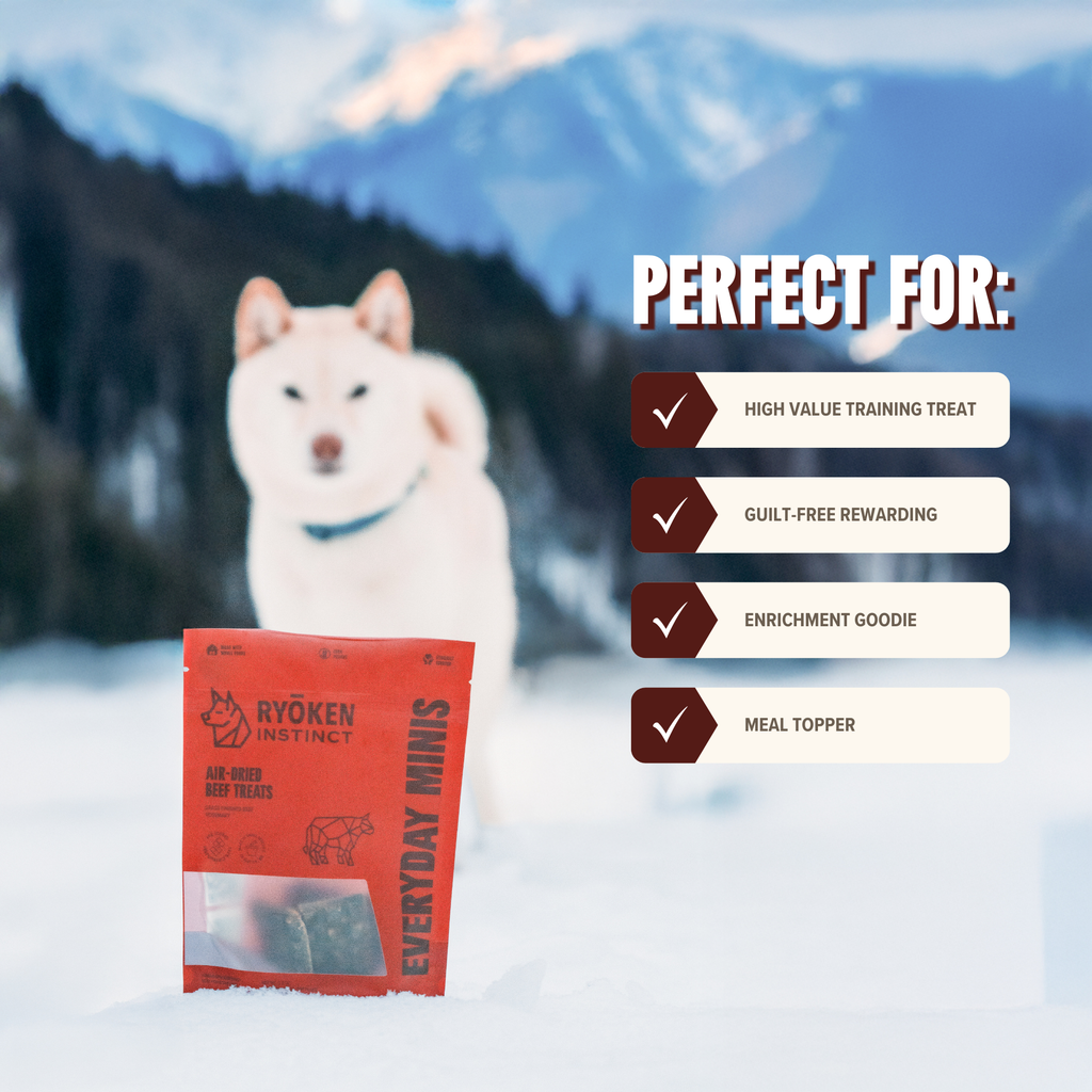 Beef Mini Training Treats