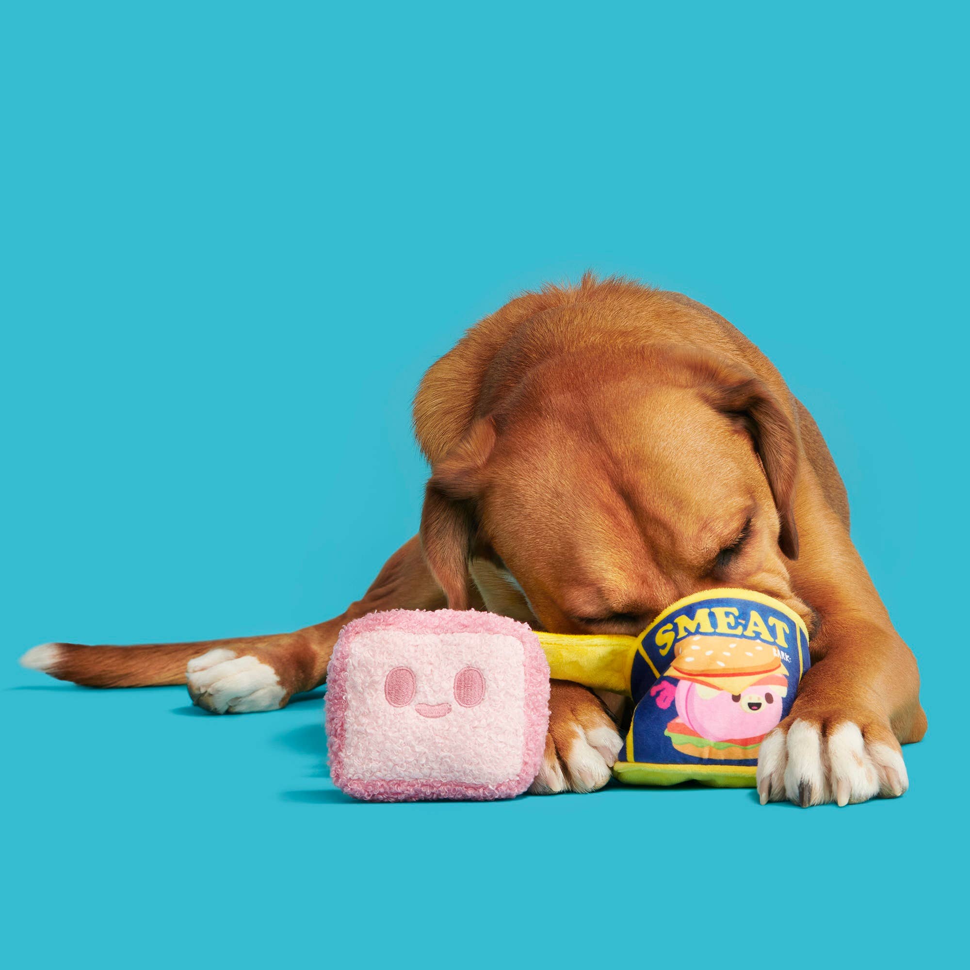 Canned SMEAT Plush Dog Toy XS/S