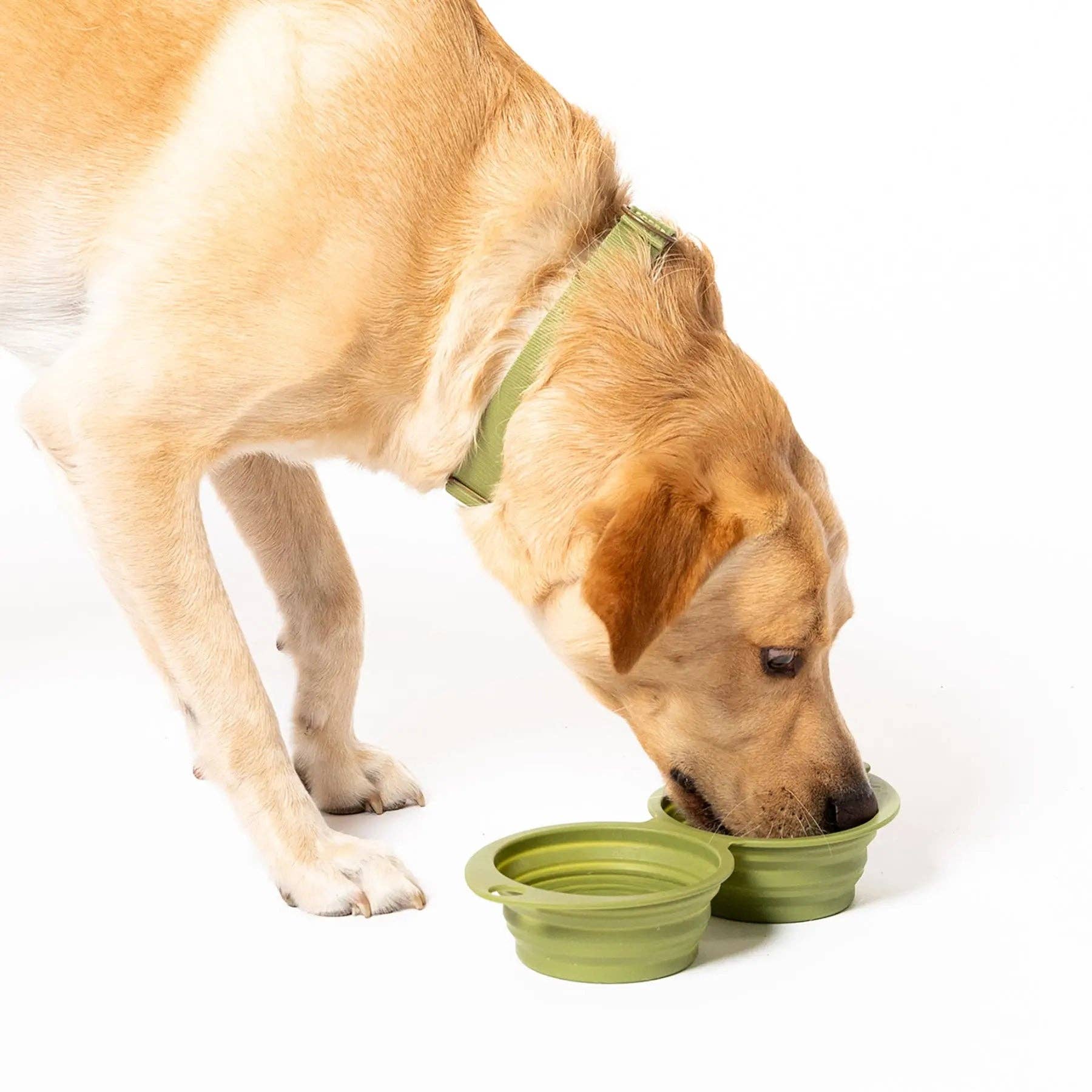 Snack Attack Collapsible Travel Bowl: OLIVE