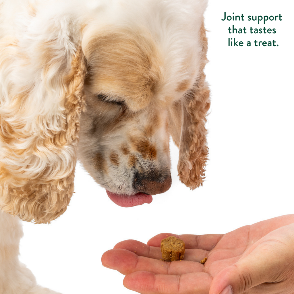 Hip & Joint Soft Chews for Dogs - Glucosamine, MSM, Chondroitin: 30 Chews