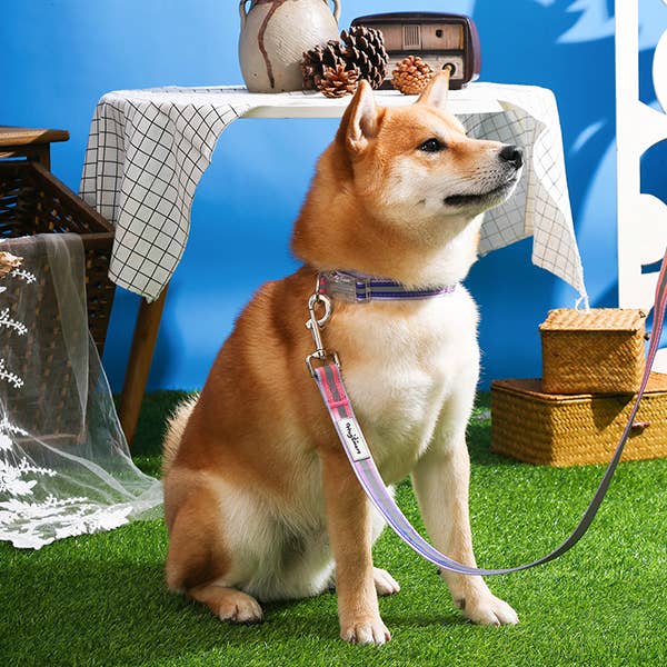 HugSmart Pet - Dog Collar | Cotton Candy