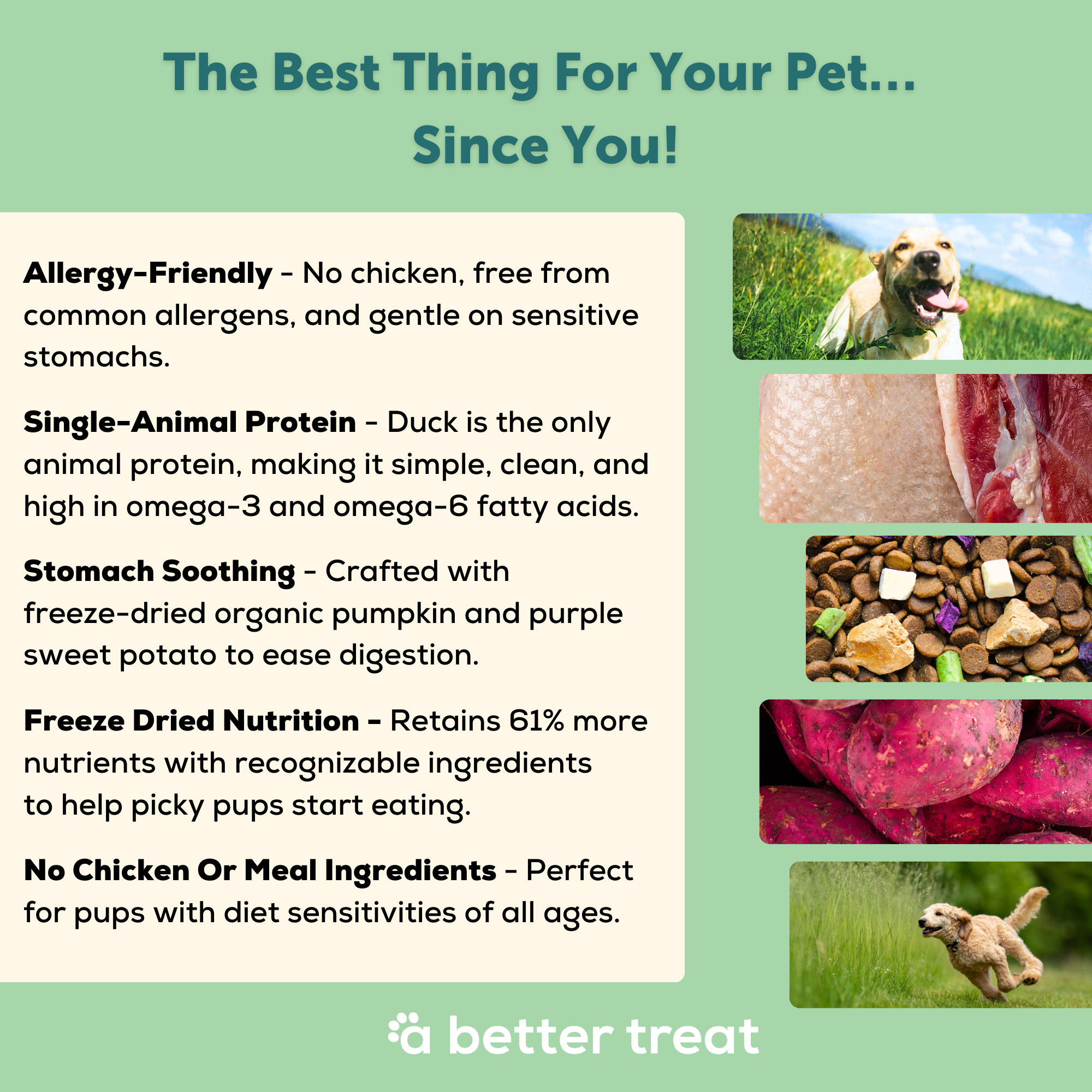 A Better Dog Food - Allergy Friendly Duck | No Chicken, Only Dog, No Meal: 3 lbs
