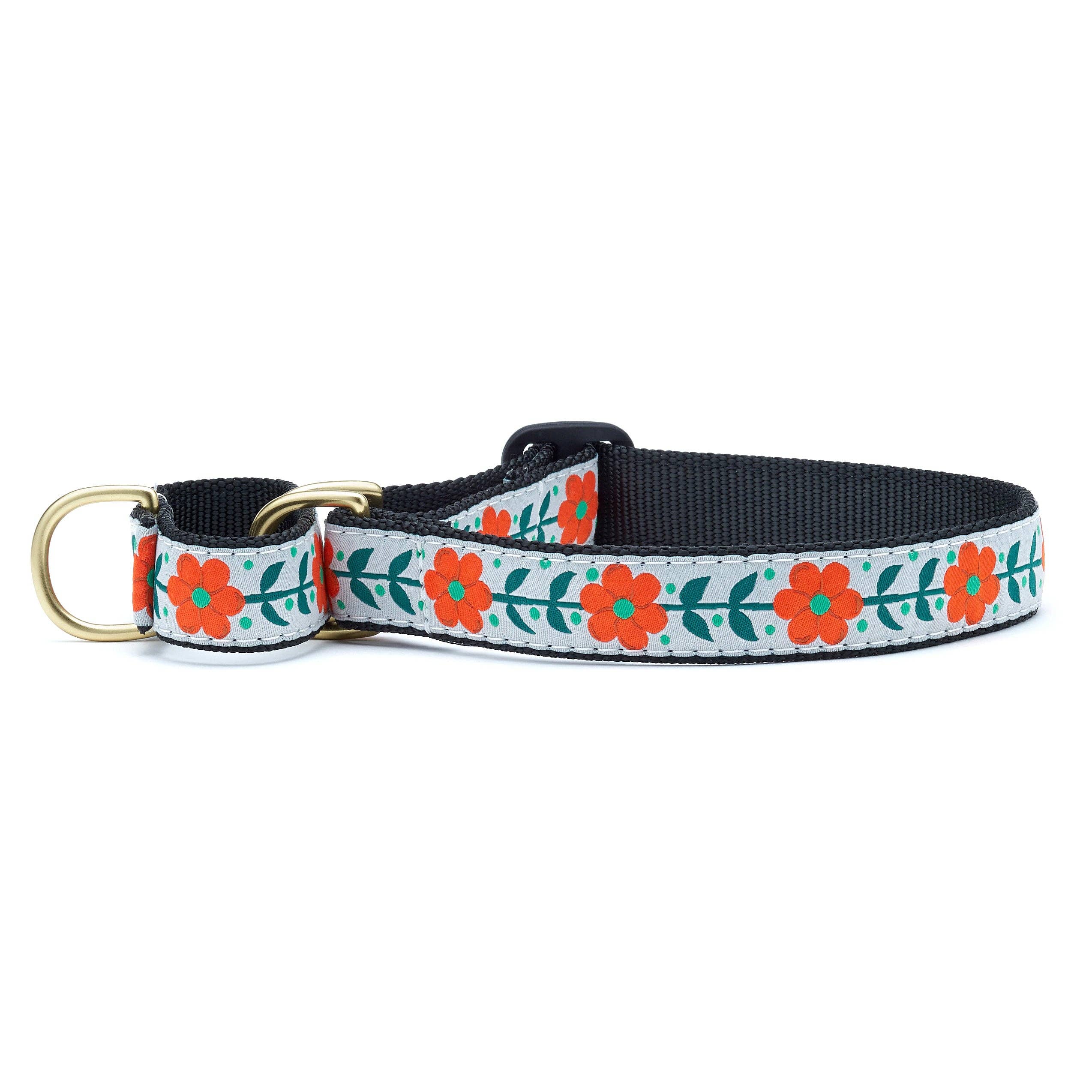 Orange You Pretty Martingale Dog Collar: Medium / Wide