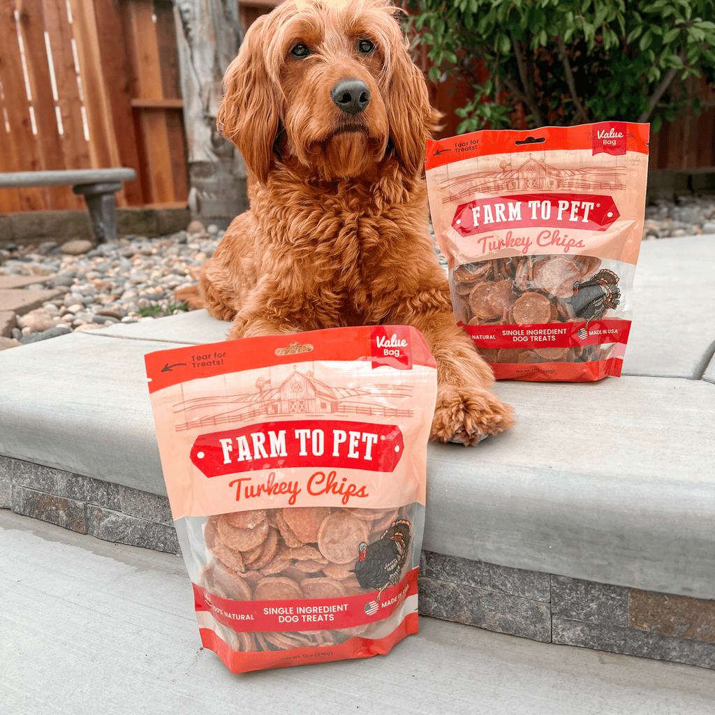 Turkey Chips Dog Treats: 12oz