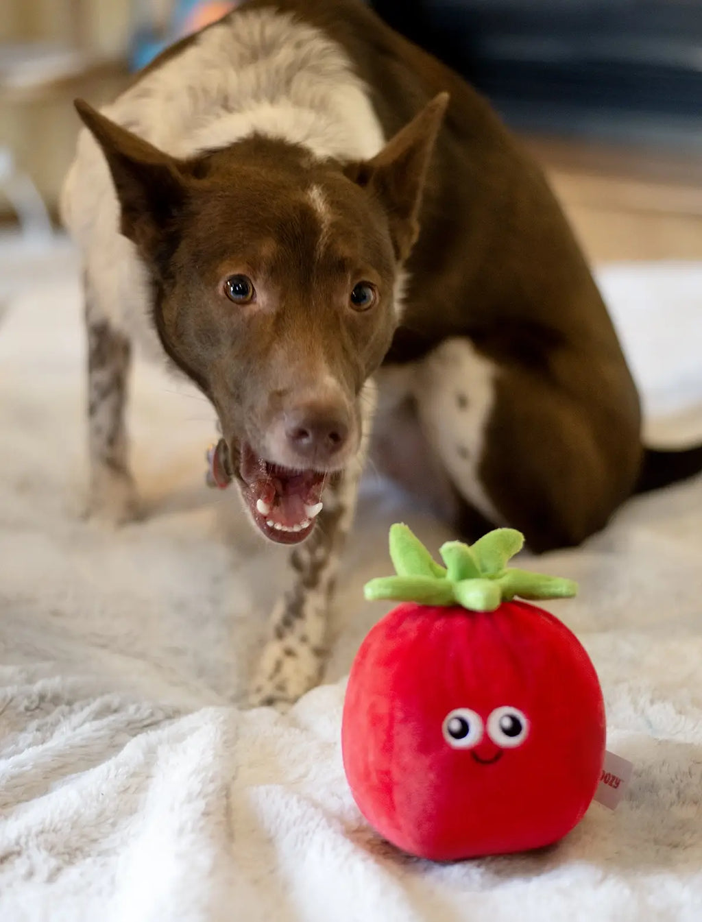 Tomato Plush Dog Toy 5.5"