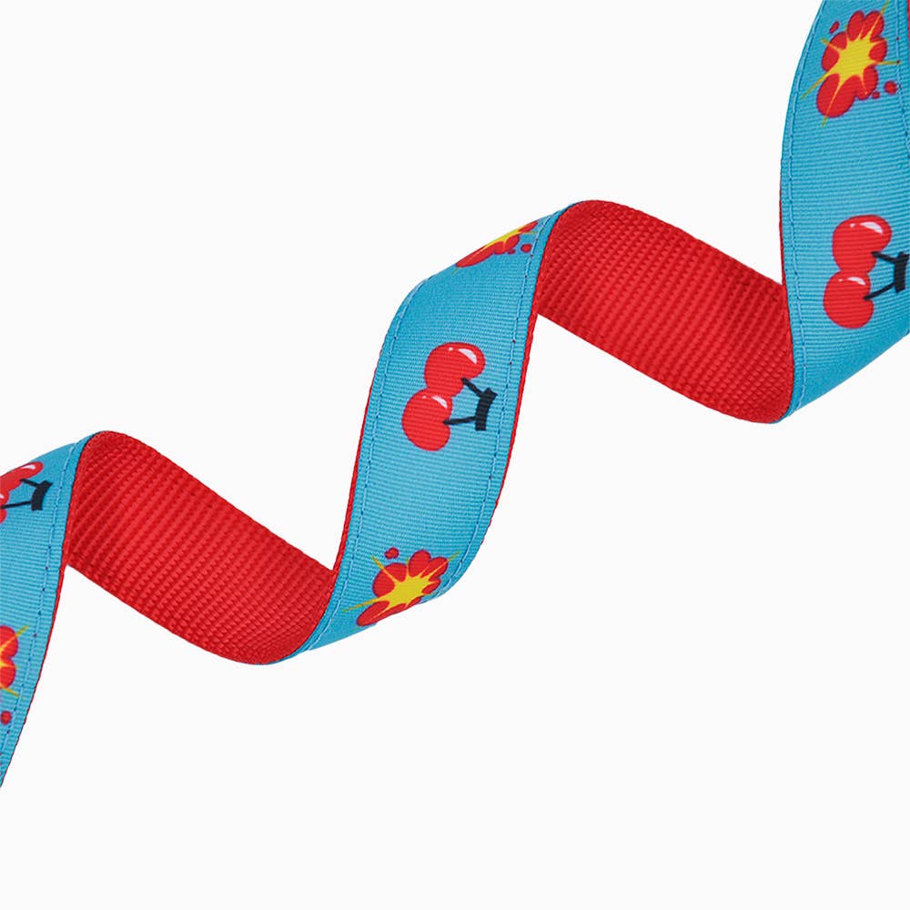 HugSmart Pet - Dog Collar | Cherry Cherry