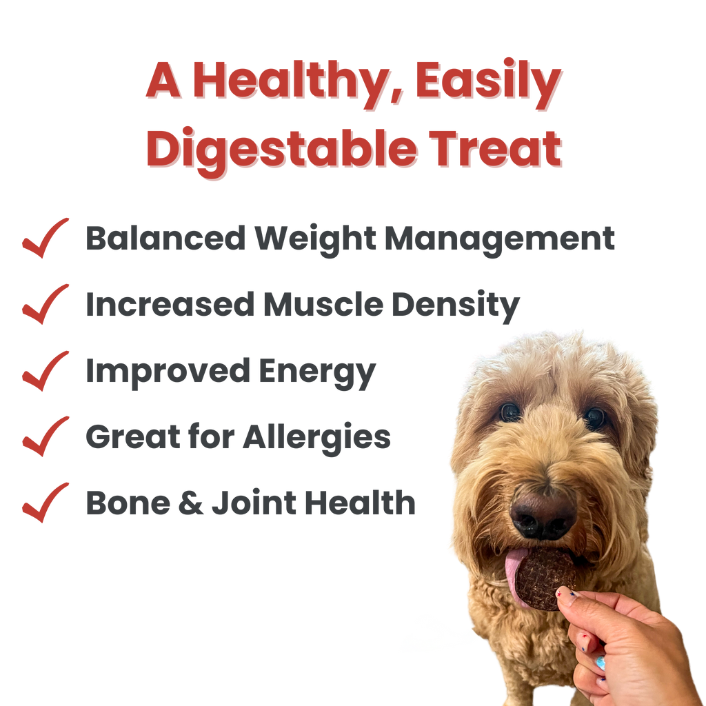 Beef Chips Dog Treats: 12oz