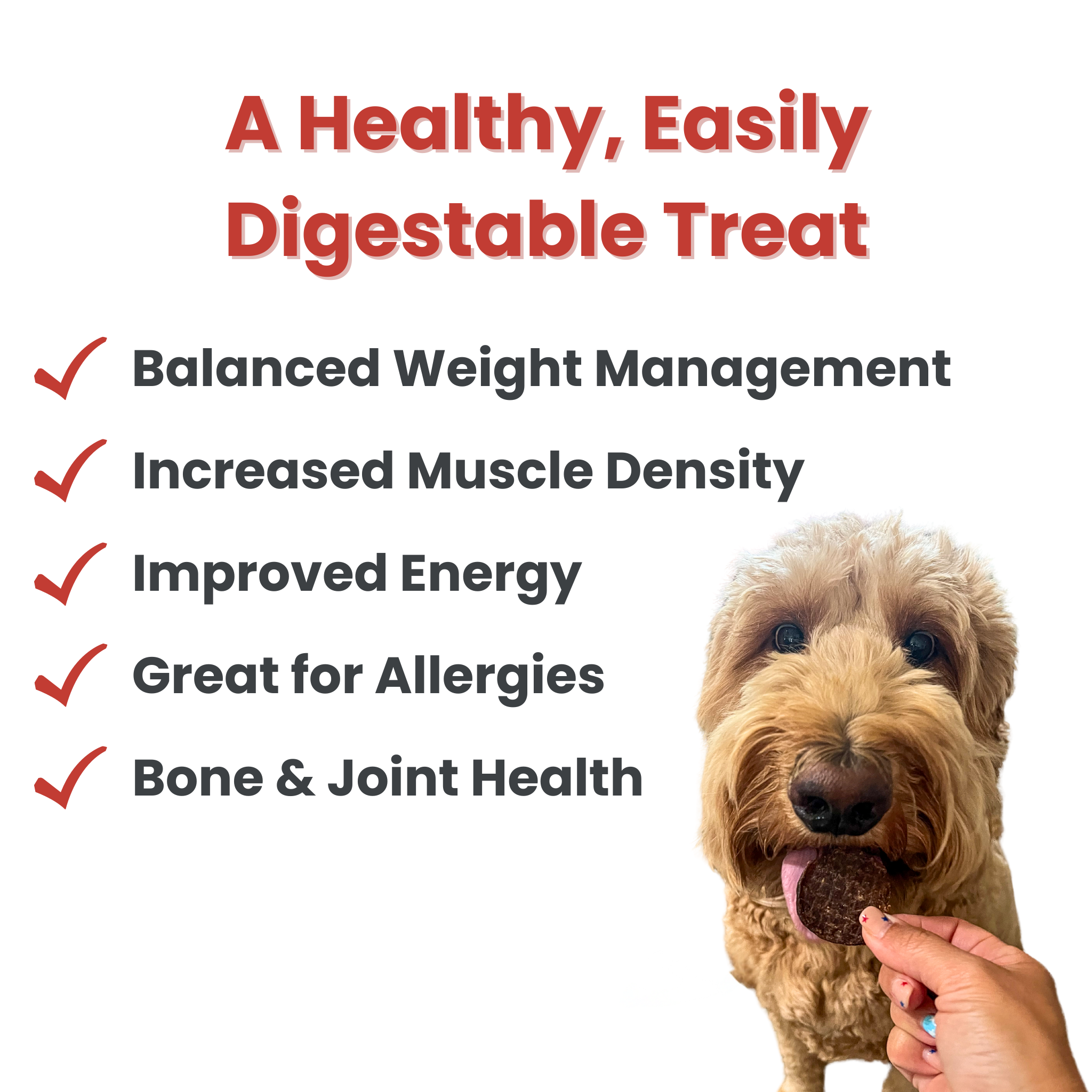 Beef Chips Dog Treats: 12oz