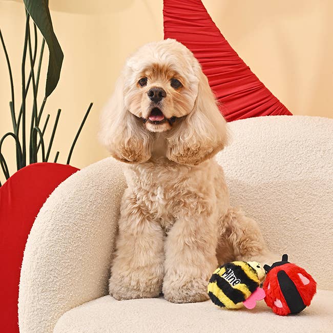 HugSmart Pet - Woof Love  | Love Bug - Dog Ball Toy