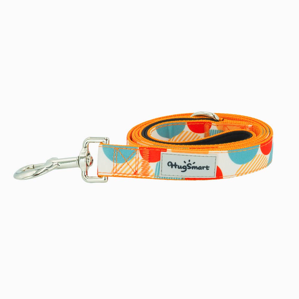 HugSmart Pet - Dog Leash | Dancing Dots