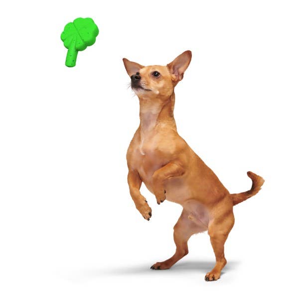 Super Chewer Fur Leaf Clover St. Patrick's Day Dog Toy