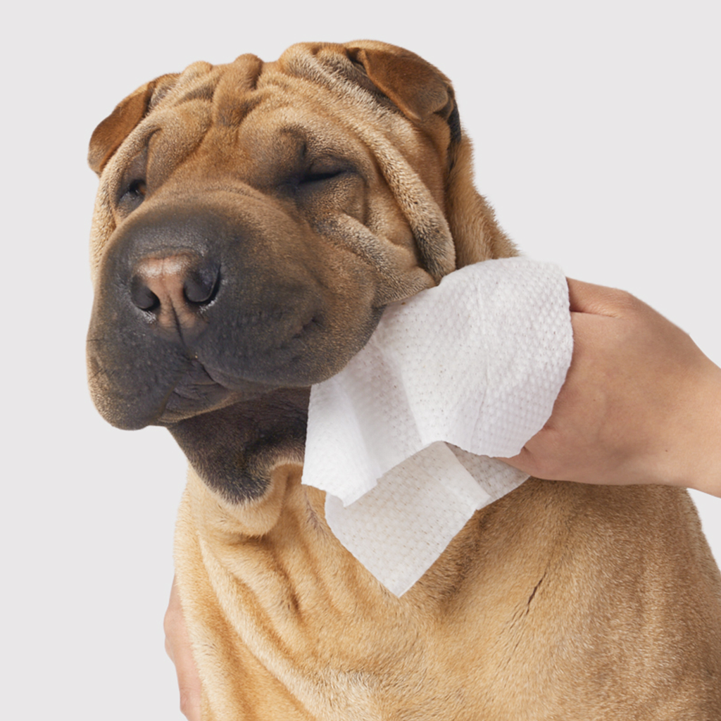 Gentle Cleanse Dog Wipes - 30 Wipes