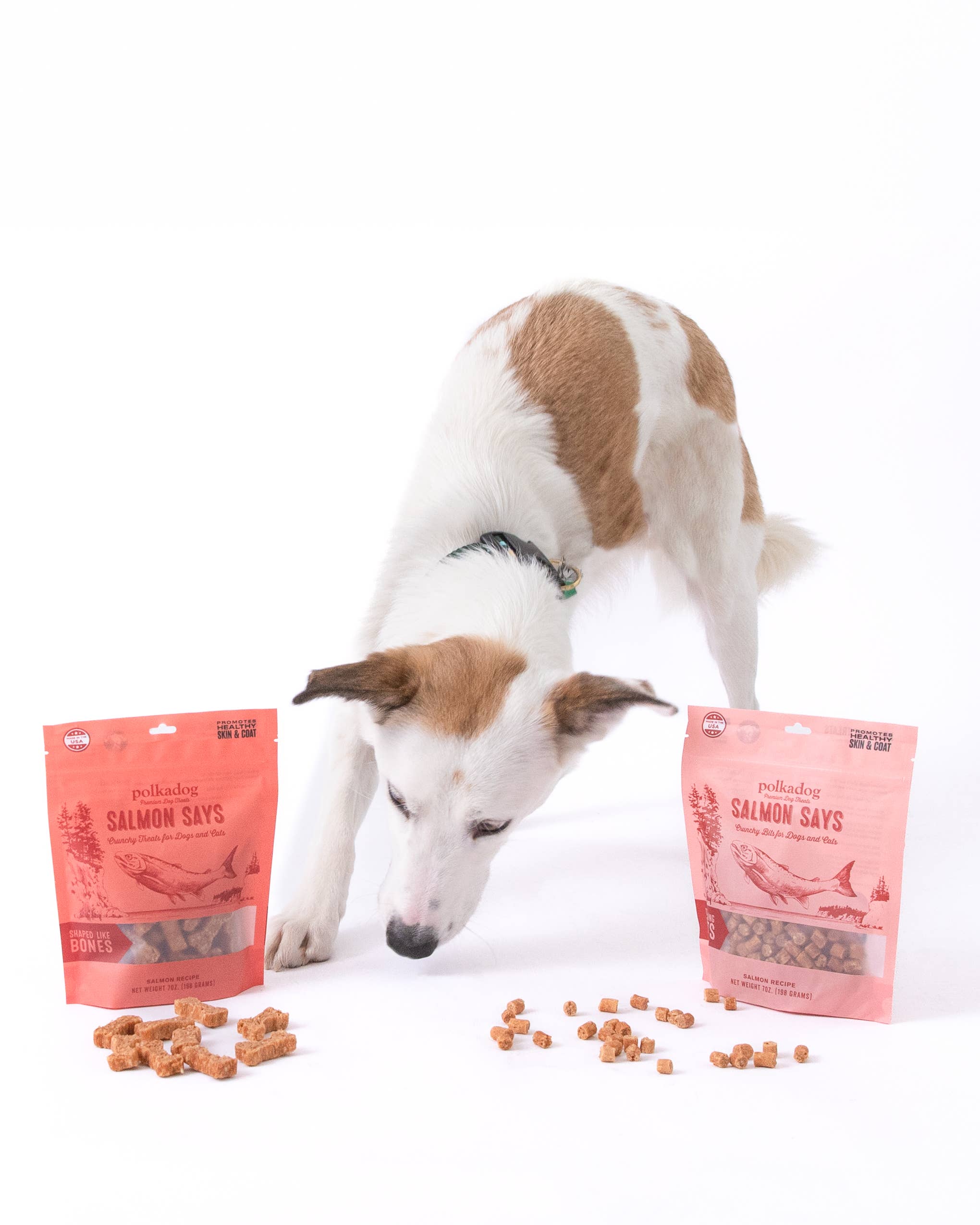 Salmon Says (Bone Shaped) - 7oz Bag