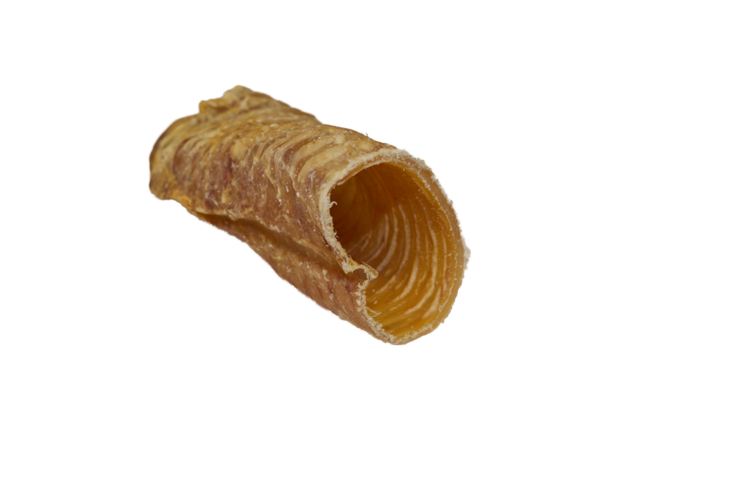 Heavenly Big Rippers - Beef Trachea for Big Dogs
