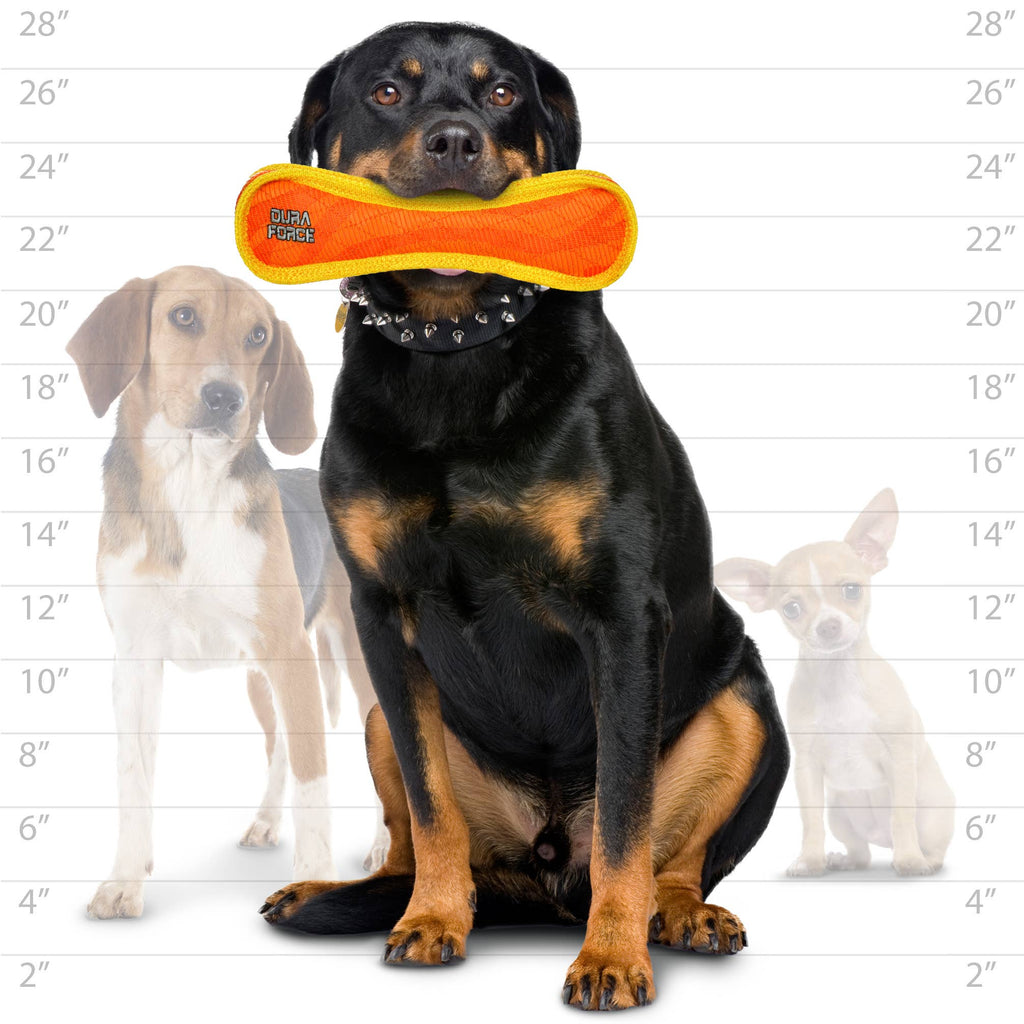 DuraForce Bone Tiger - Orange, Durable, Squeaky Dog Toy