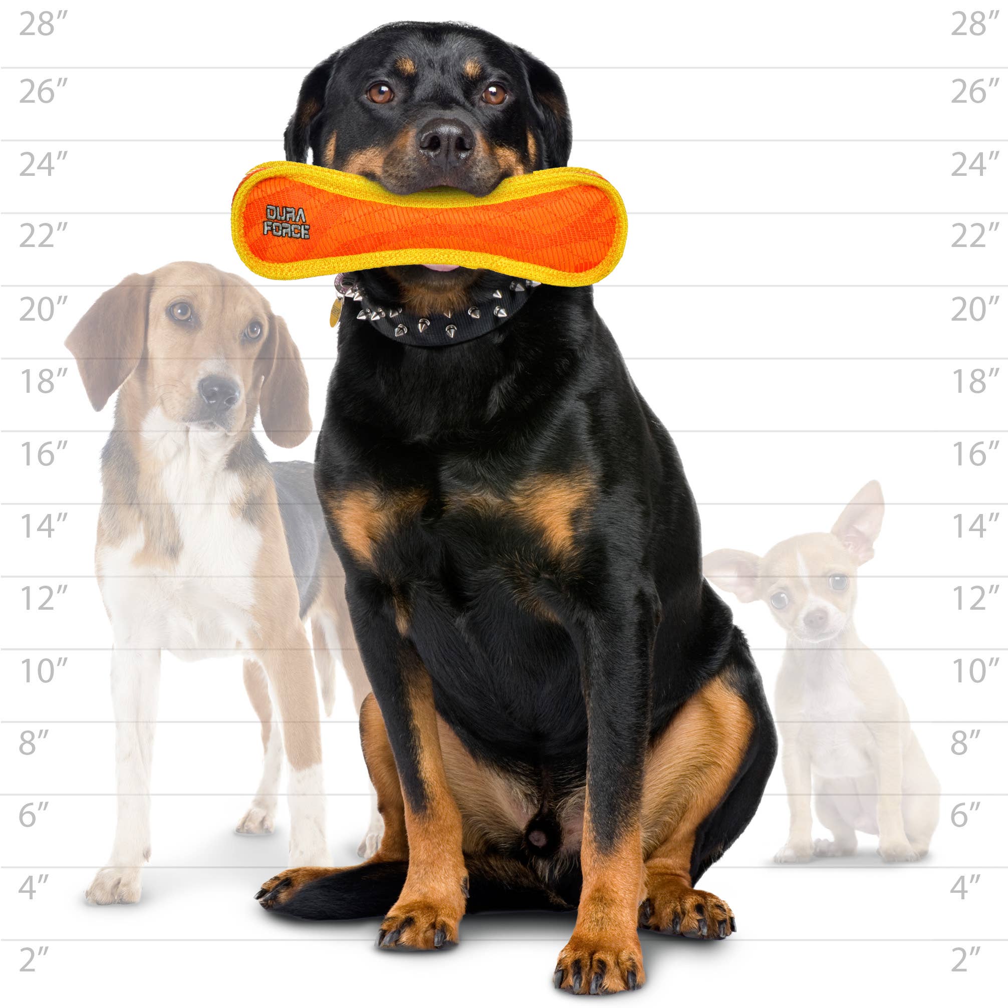 DuraForce Bone Tiger - Orange, Durable, Squeaky Dog Toy