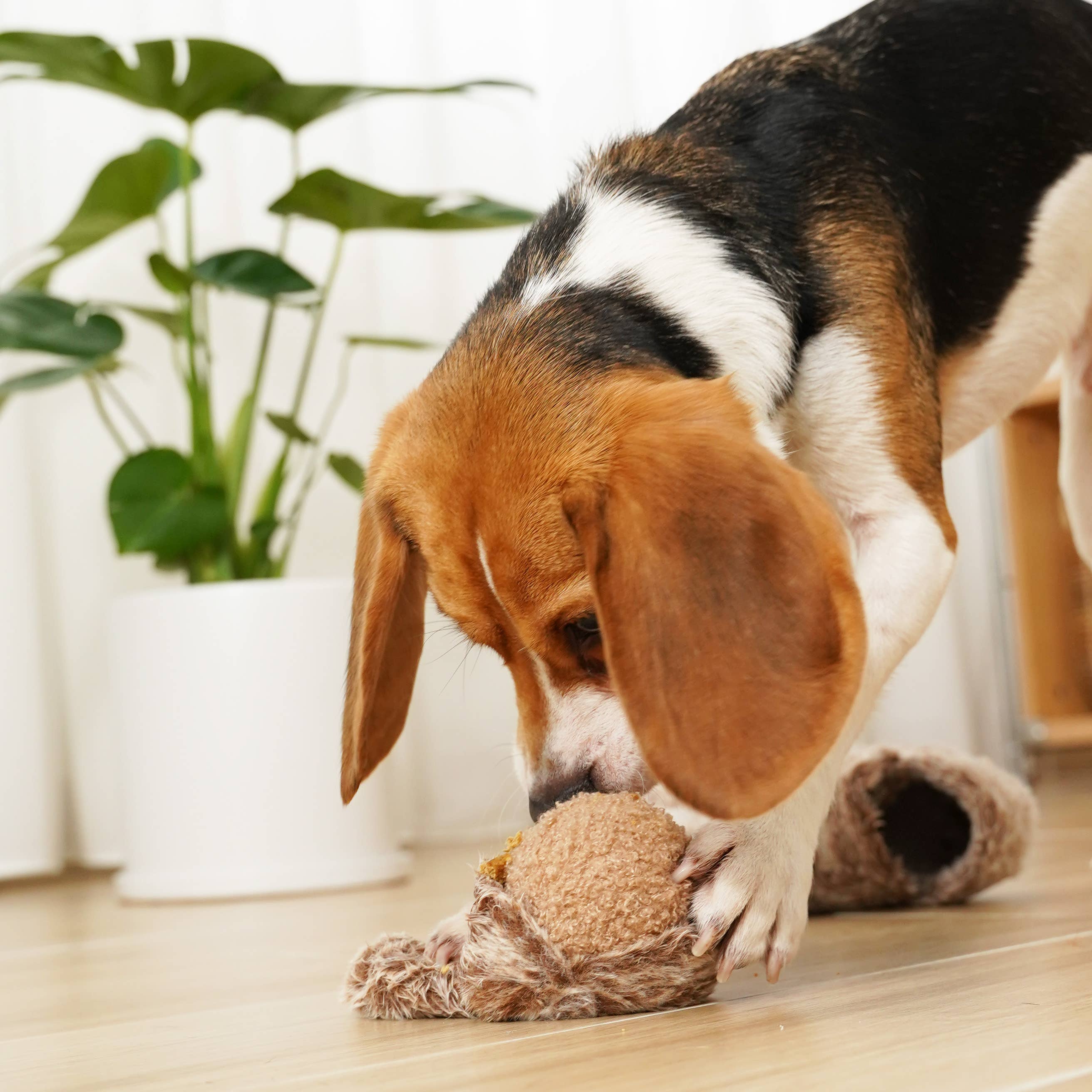 SQUIRREL POP // ENRICHMENT DOG TOY // Squeaky Ball: M