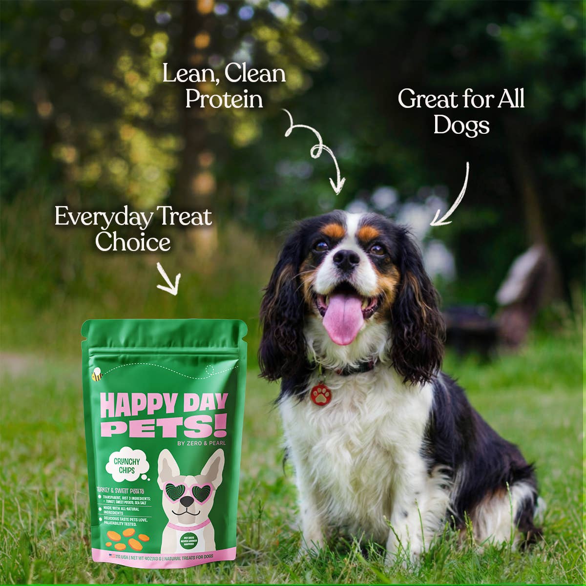 Happy Day Pets Turkey & Sweet Potato Chips Dog Treats