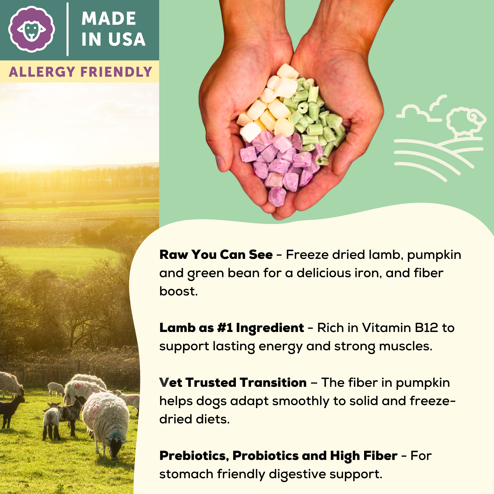 A Better Dog Food - Allergy Friendly Lamb | No Chicken, Only Lamb Animal Protein, No Meal Ingredients, Grain Free | Raw You Can See: 3 lbs
