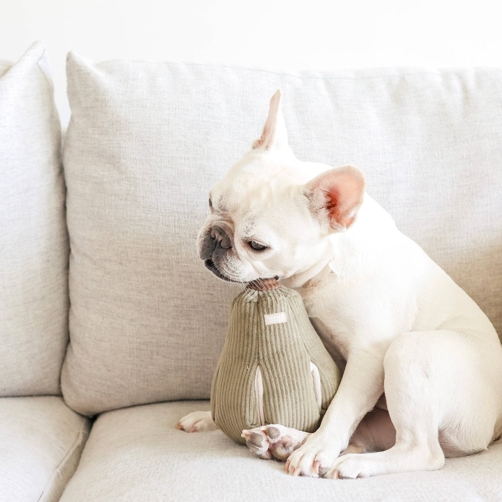 BUTTERNUT // ENRICHMENT DOG TOY // SNUFFLE: L / Squeakers