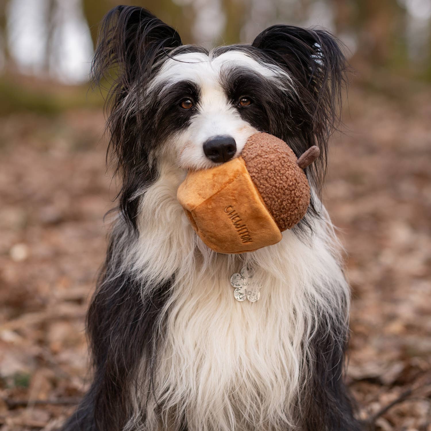Acorn Snuffle & Squeaky Toy