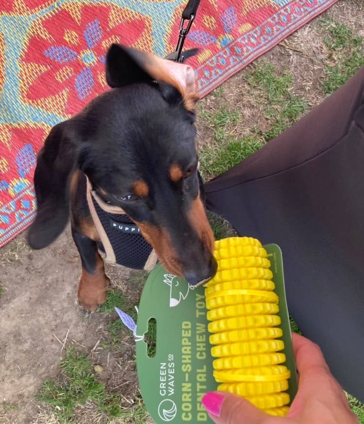 Corn-Shaped Dental Chew Toy
