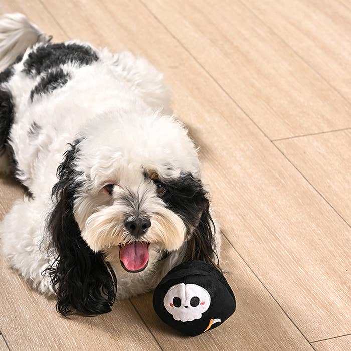 HugSmart Pet - Howloween Night | Grim Reaper Black Ball