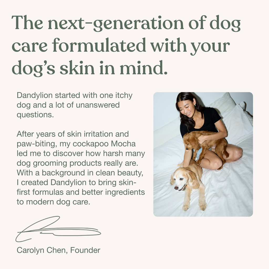 Gentle Cleanse Dog Wipes - 30 Wipes
