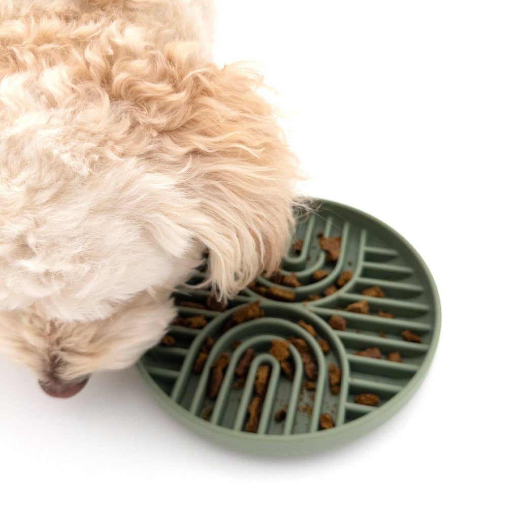 Slow Feeder Dog Bowl with Suction Base