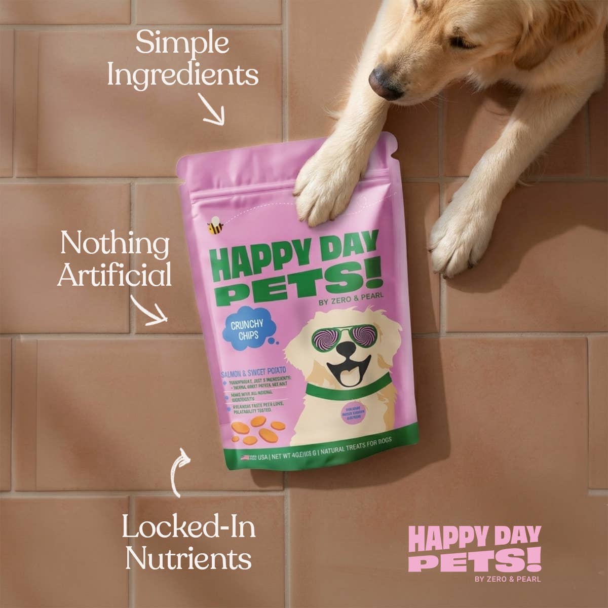 Happy Day Pets Salmon & Sweet Potato Chips Dog Treats