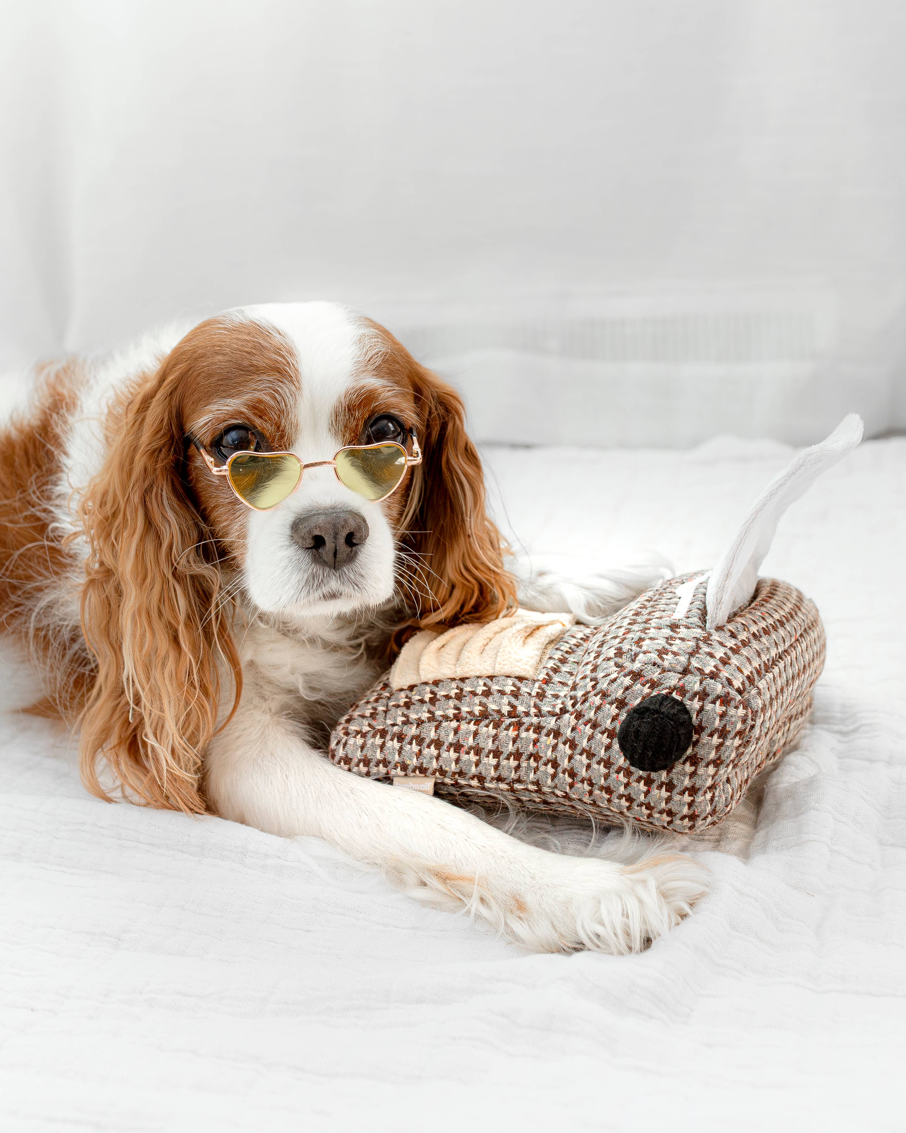 TYPEWRITER//ENRICHMENT DOG TOY