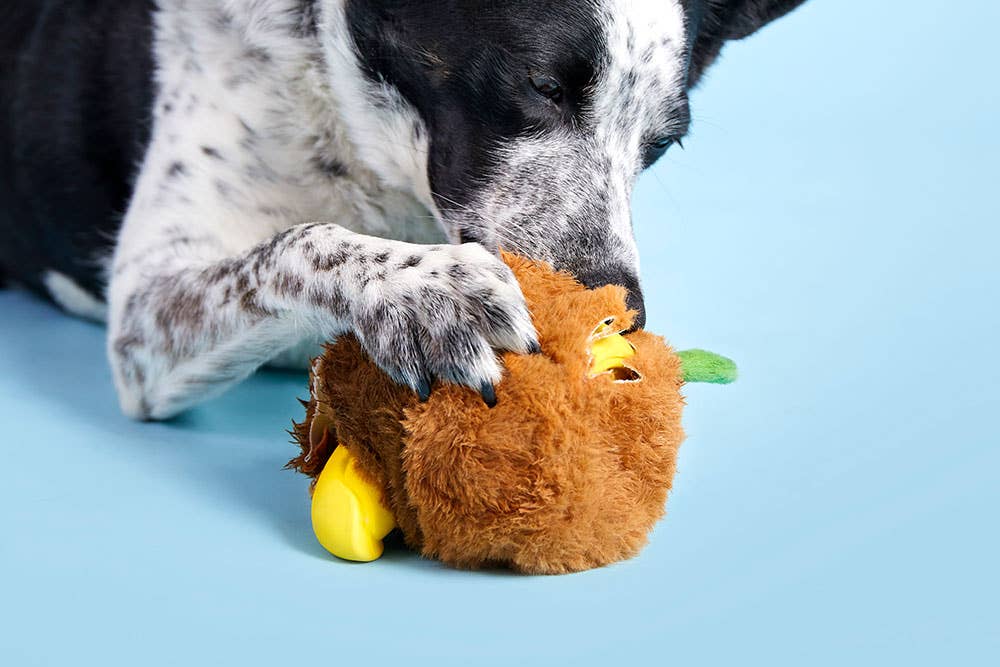 Fowl Play