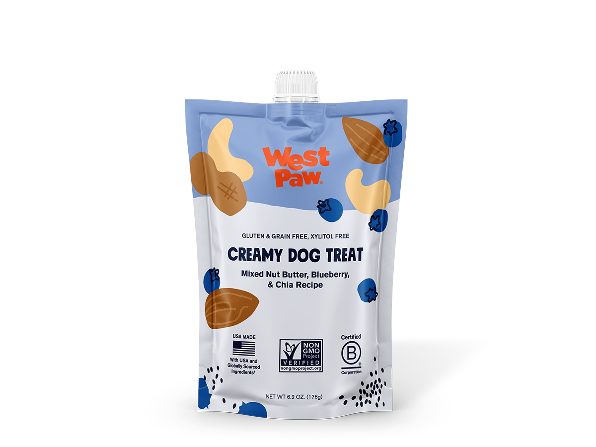 Nut Butter, Blueberry & Chia Seed Creamy Treats