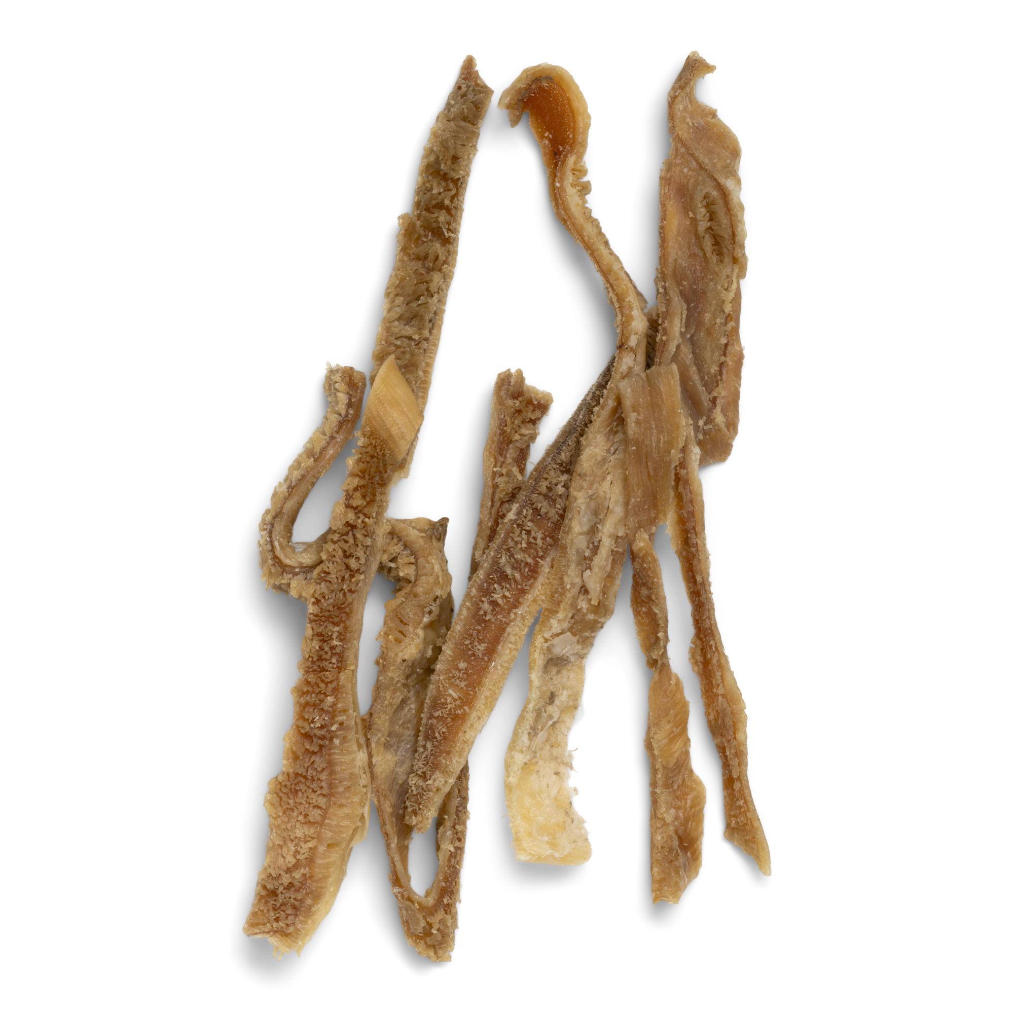 Air-Dried Bison Tripe Single Ingredient Dog Treats